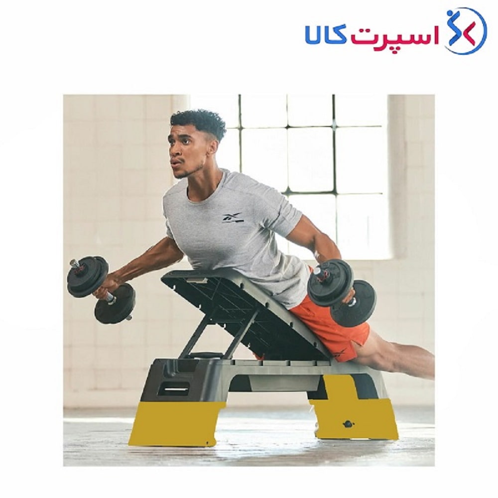 استپ مدل ریباک Agilinex