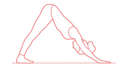 حرکت سگ با صورت رو به پایین در یوگا
