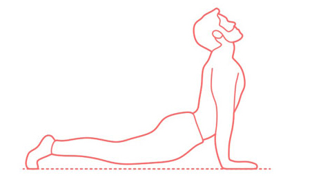 حرکت سگ با صورت رو به بالا در یوگا