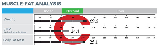 مدل پایه C دستگاه آنالیز بدن نشان دهنده چاق بودن فرد